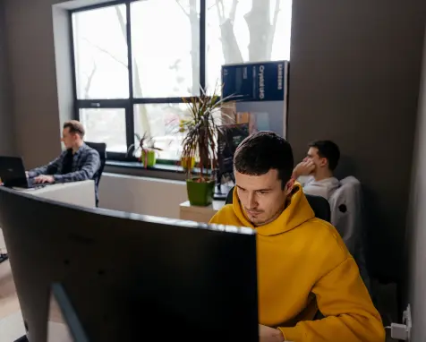 Developer in work